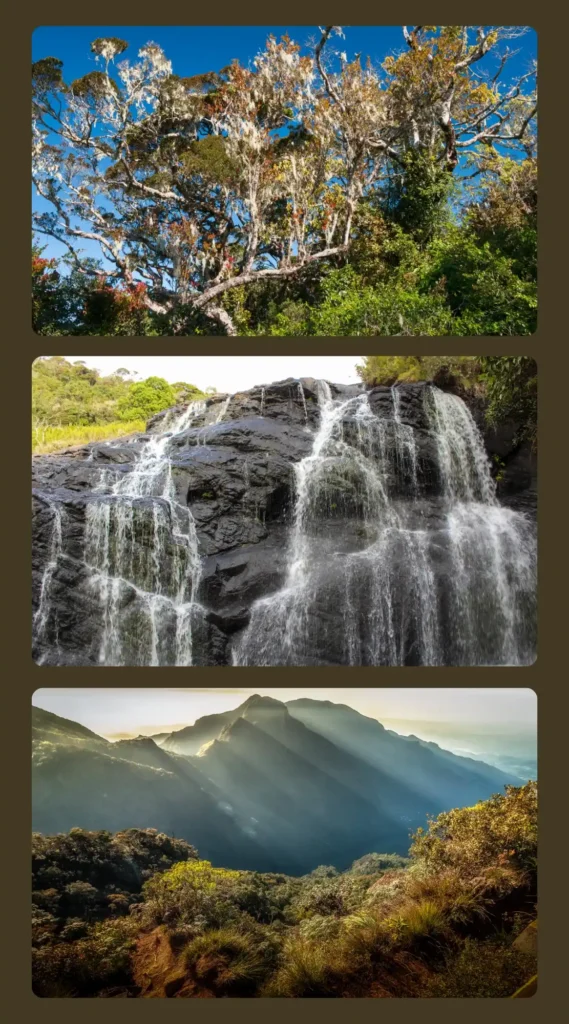 Serene sri Lanka Day 7