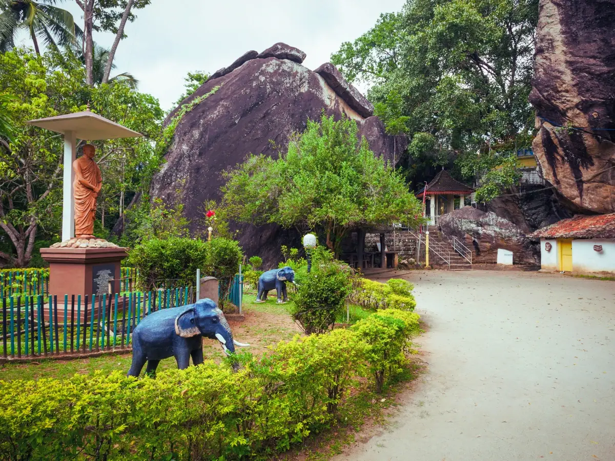 Serene Sri Lanka - Paage 5