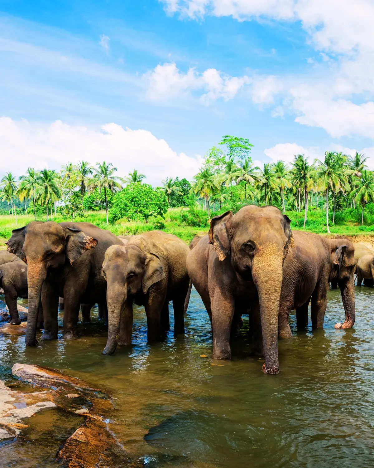 Serene Sri Lanka - Day 2