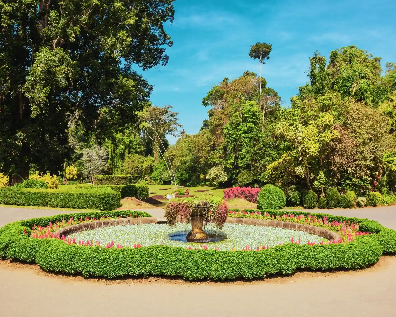 Serene Sri Lanka Page 6